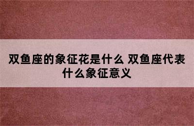 双鱼座的象征花是什么 双鱼座代表什么象征意义